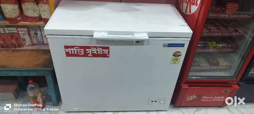 Blue star Deep Freezer