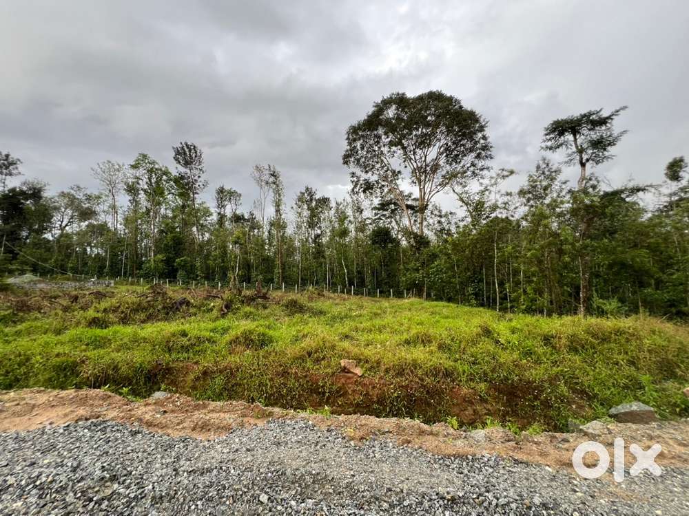 Surrounded with nature