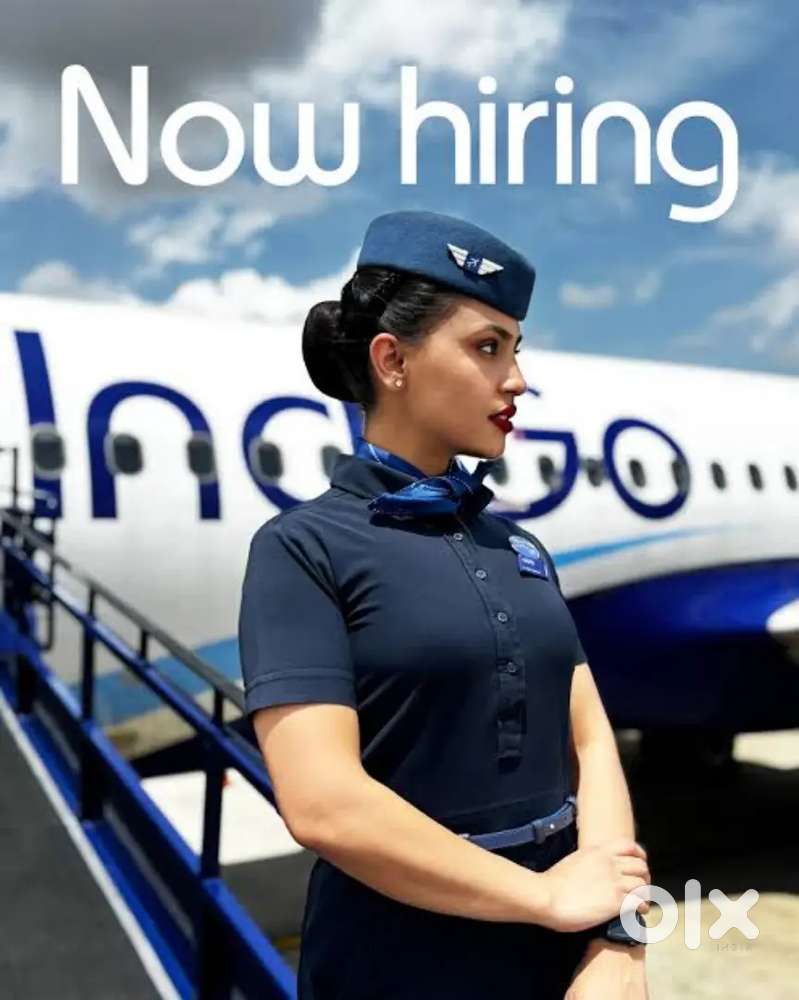 Indigo Airlines jobs /Vacancy for Airport Ground staf / Driver / Crew