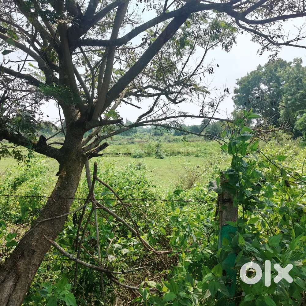 Dtcp layout for commercial plot