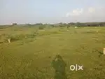 Dtcp patta land sale good location kundrathur somangalam road