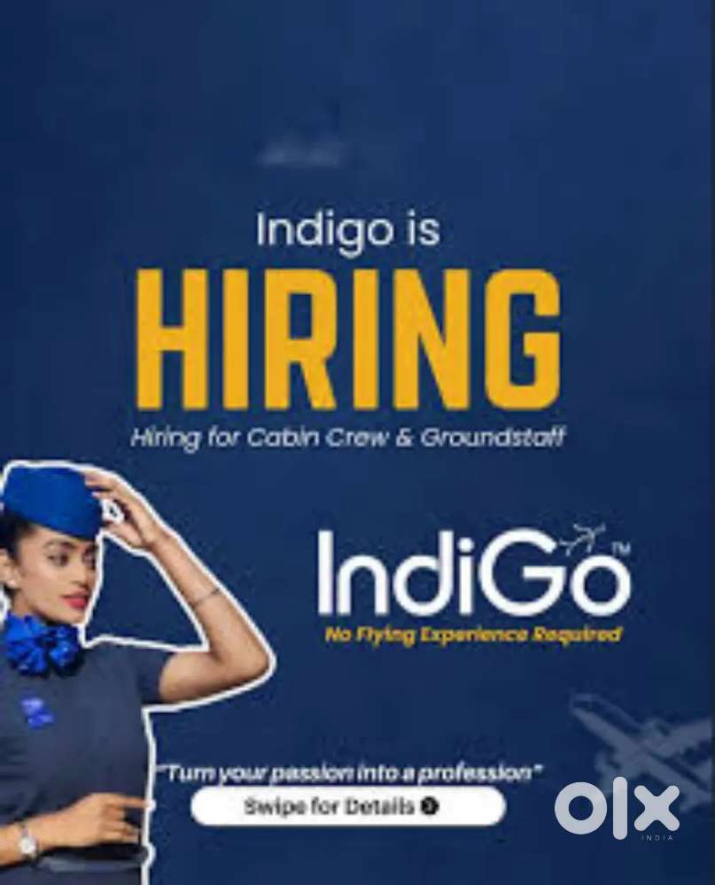 Indigo Airlines jobs /Vacancy for Airport Ground staf / Driver / Crew