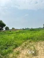 sisoli garh road meerut 6 bigha agriculture land for sale