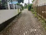 Thiruvankulum, vandippetta 9cent plot for sale.