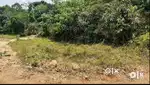 Plot for sale urgent.    ( rate negotiable)