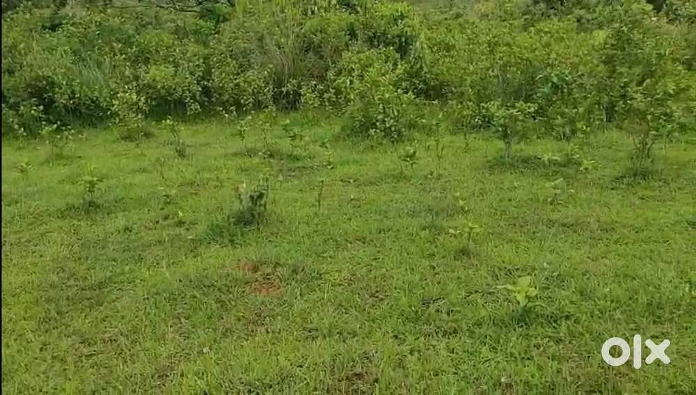 Vagamon Town Near 20 Acres LA pattayam Land For Sale