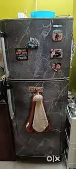 Samsung double door