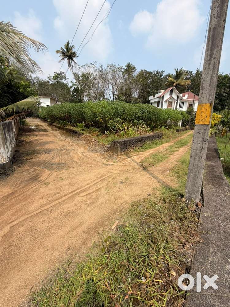 Kothamangalam Ramalloor