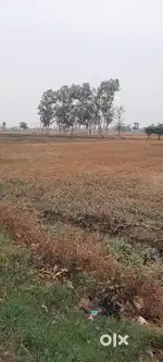 किसी को प्रोजेक्ट लगाना हो किराया के लिए उपलब्ध हैं 10 एकड़ जमीन