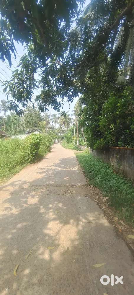 7 cents for sale at Thottekkadu Thara, Koduvayur.