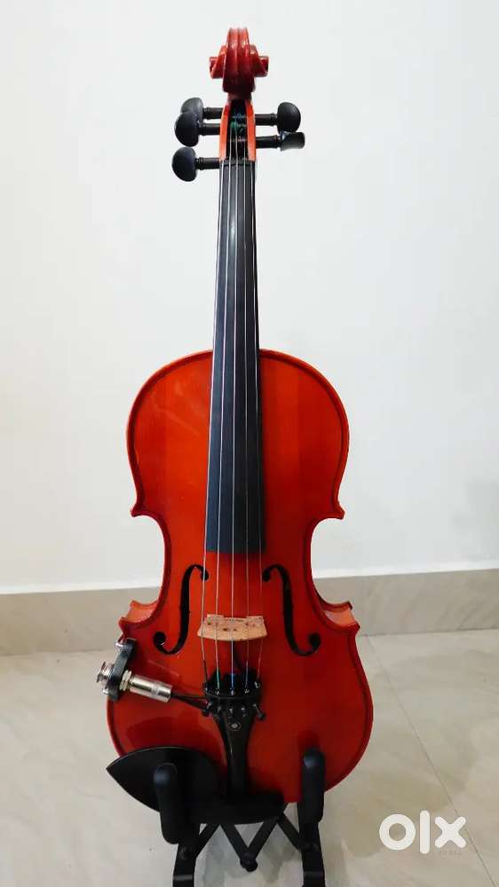 5 string Accoustic violin
