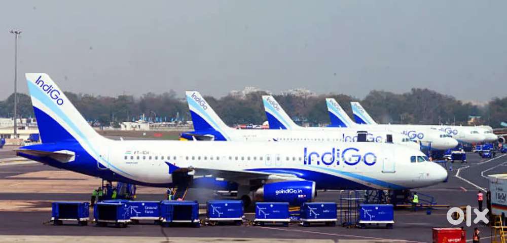 Ground Staff Jobs In Indigo Airlines Vacancy Available