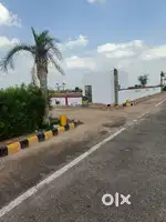 Patte subha plot