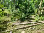 I sele my 1 bigha non belt land