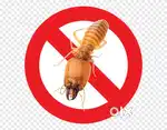 Pest Control