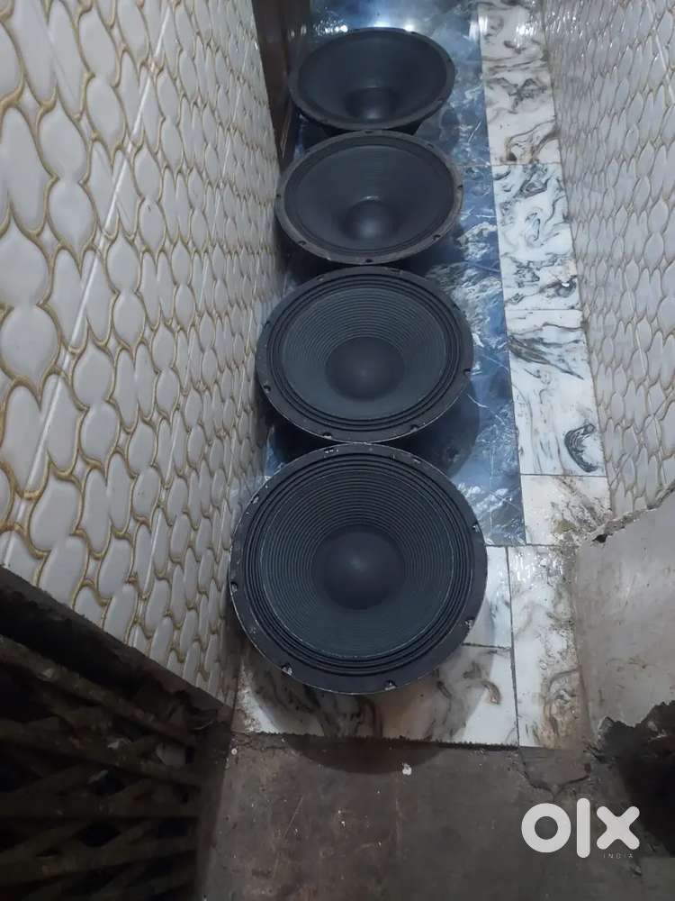 P-audio C18 1000watt