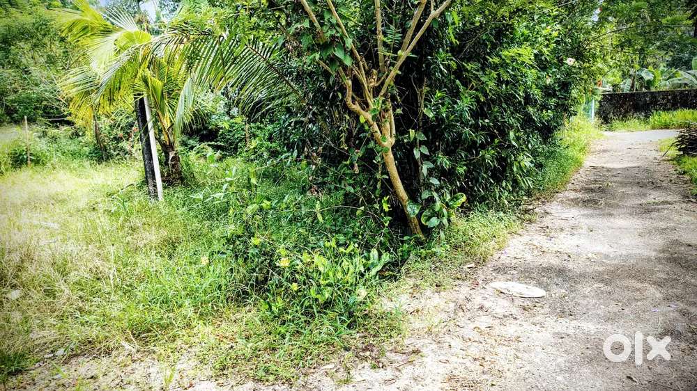 8 cent house plot near Komalapuram Gurumandiram junction