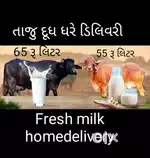 Fresh Doodh Home delivery  price 65 ru liter