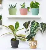 Metal planter stand  plant stand of pots  Free Home delivery