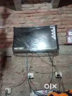 TV mitashi