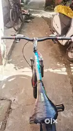 Gear bicycle
