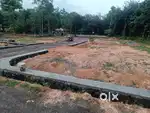 Chottanikkara global school area plot for sale