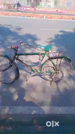 1 year old cycle