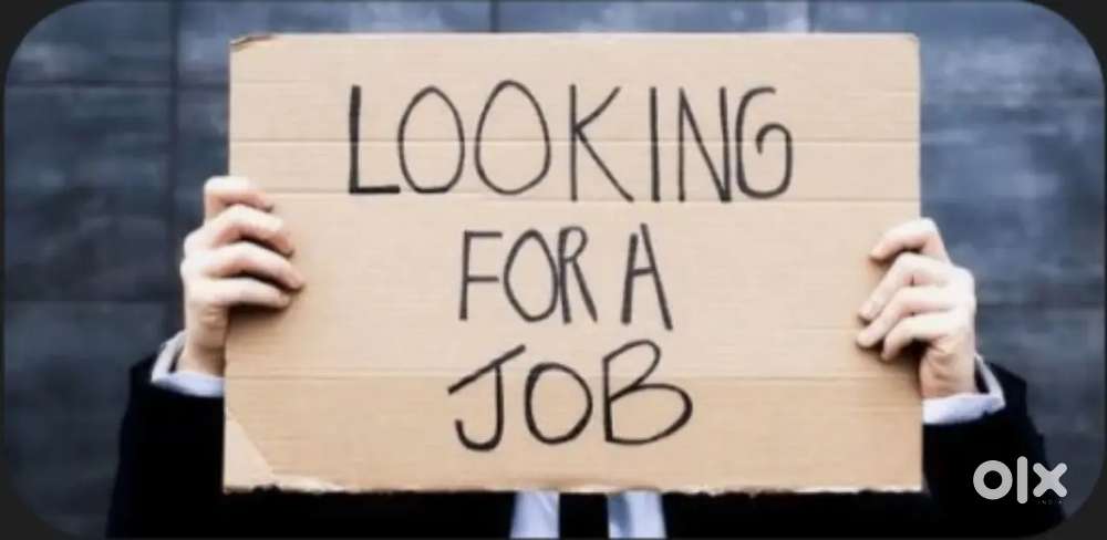 No Boss,no office but good salary