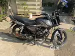Selling Honda CB Shine 125