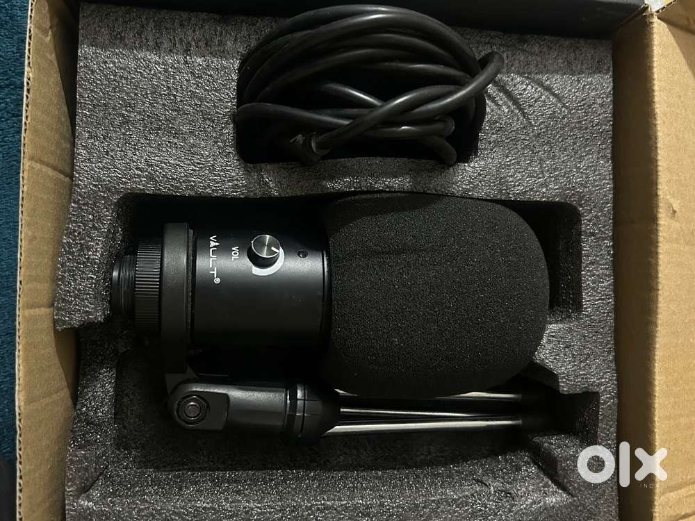 Vault condenser microphone