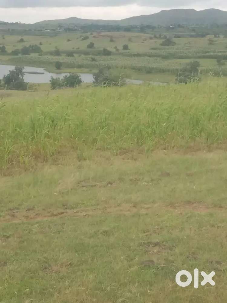 200 एक्कर जागा विकणे आहे.