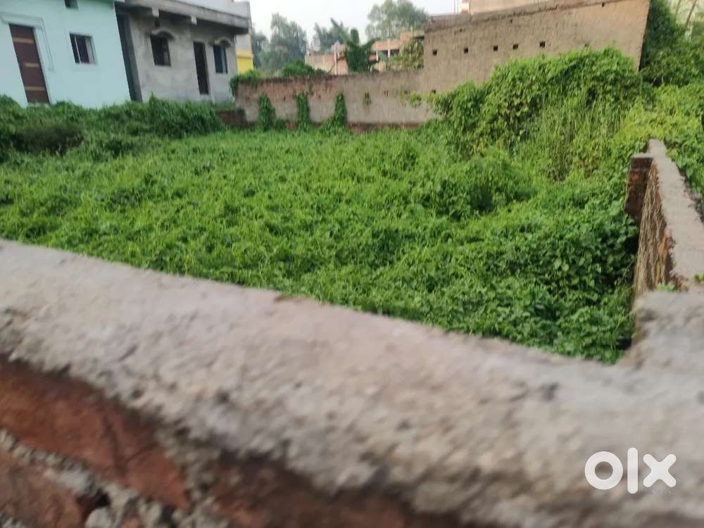 Registry Plot for sale in parsudih 6 feet boundary wall this plot