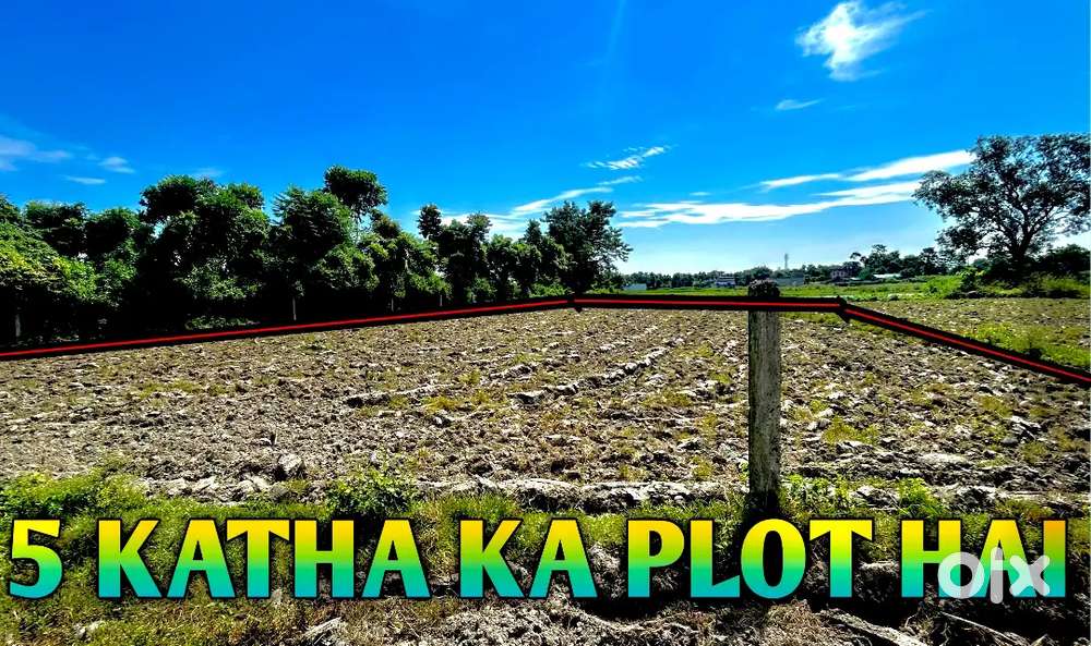 5 katha jamin Katihar Madecial college ke pass bikri ke liya hai