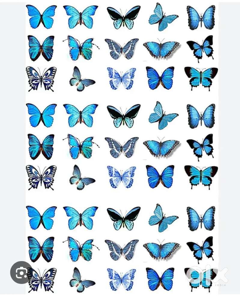 JOB, Need a boy for shop work in Saharanpur