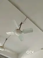 Sellingh fan