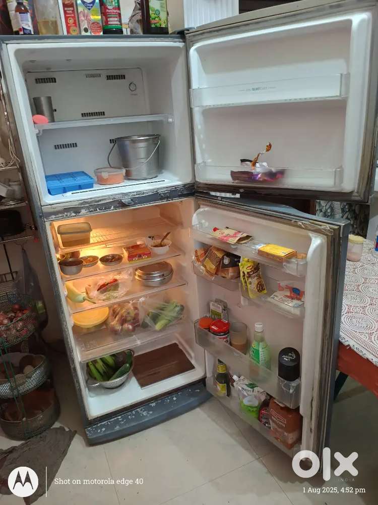 Fridge and washing machine