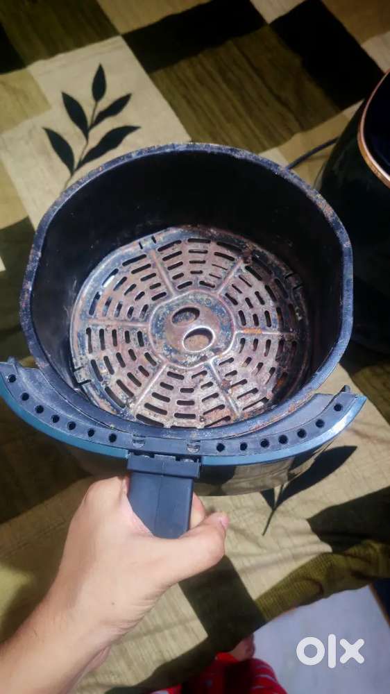 Air frier pigeon