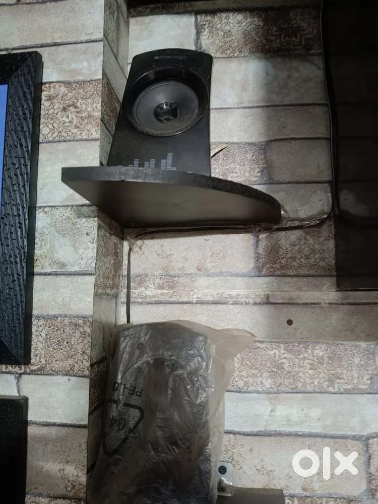 Zebronics Woofer speaker