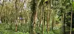 8 acre rubber purayidom near kanjirappally 300 meter to kk road 1.75cr