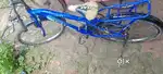 एटलस 1 ईयर ओल्ड प्राइस ₹3000