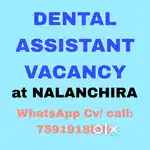 Dental Clinic Assistant