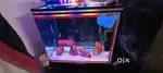 Aquarium 2 fitt by 18 inch