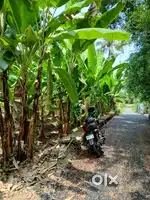 Aluva River side 95 cent plot for sale