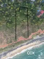 33.5 Cents land on beach