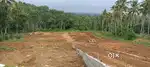 Trivandrum-Ayiroorppara-Panthalakodu main road 60 cent plot