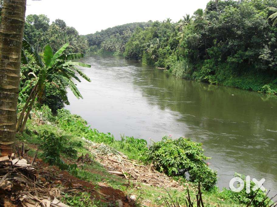 Tranquil plot with direct access to the river, 100% flood safe.