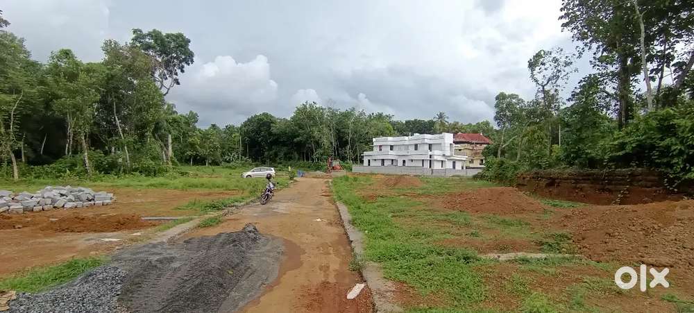 Angamaly near Pulyanam church 4,5,7,10, 20, 50 cent plots available