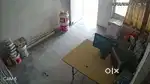 Space for milk parlour for rent