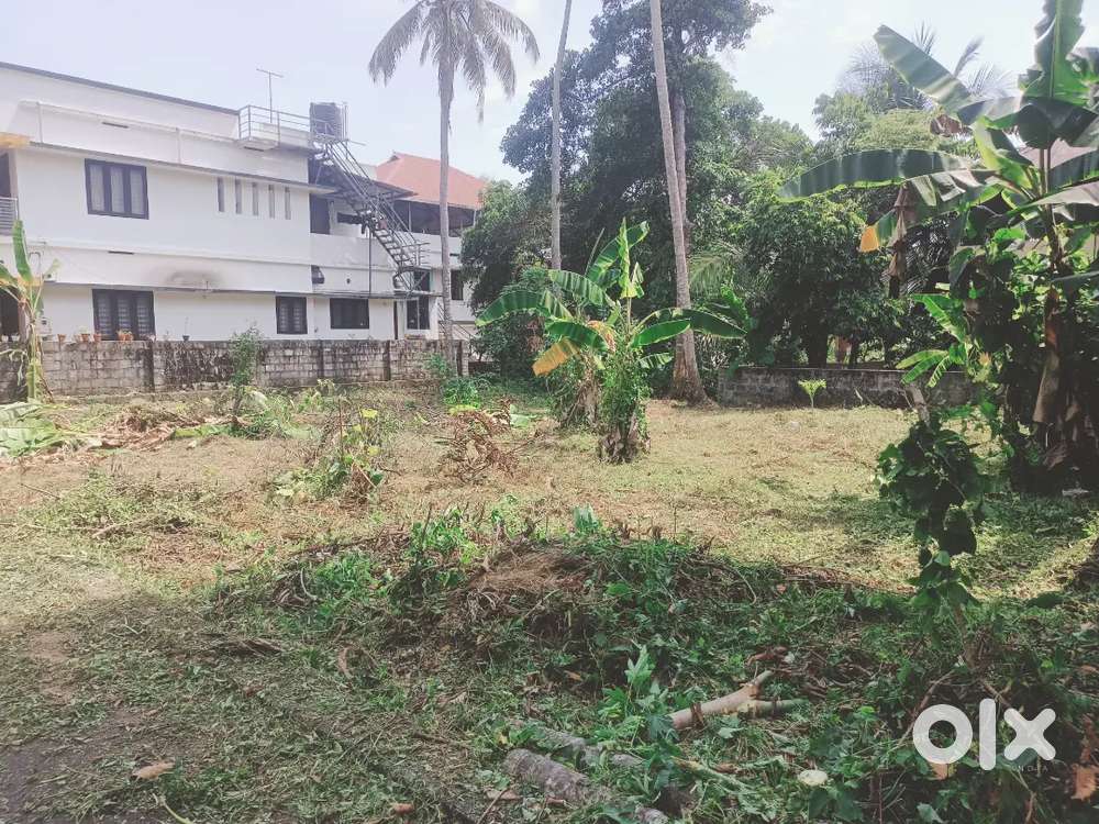 10 CENT INDIVIDUAL HOUSE PLOT SALE IN THIRUVANKULAM