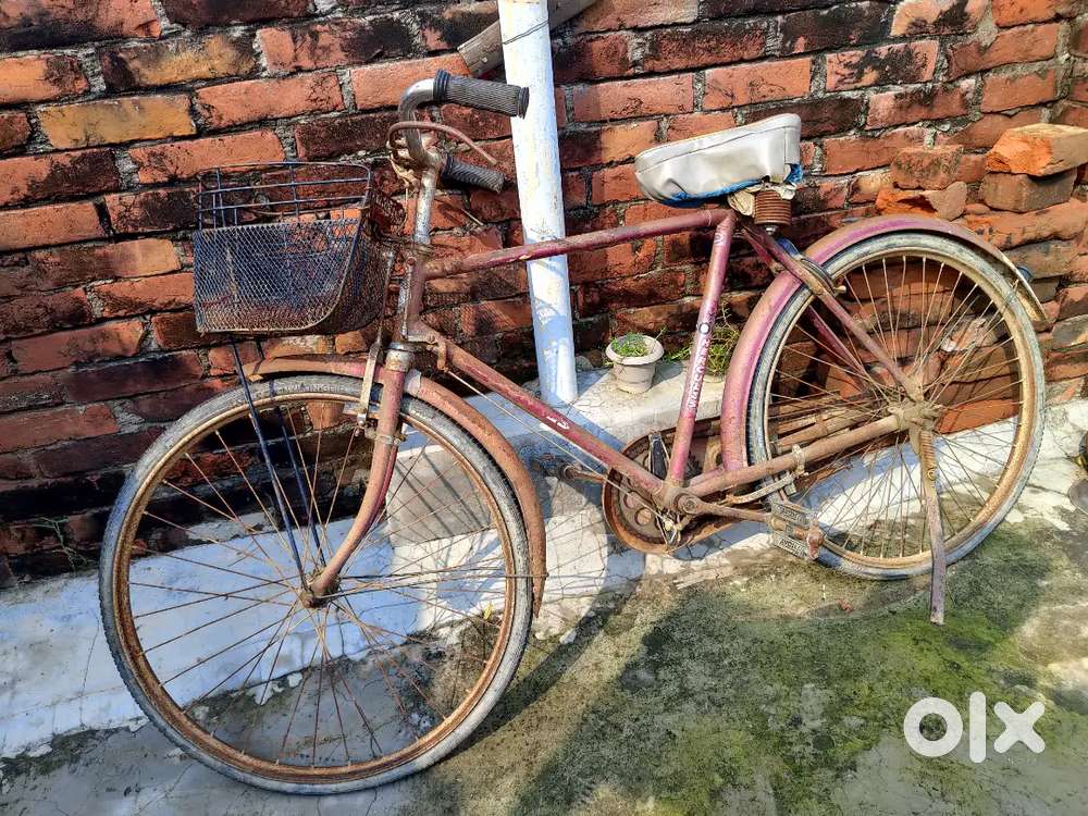 सही दाम लगाओ और ले जाओ